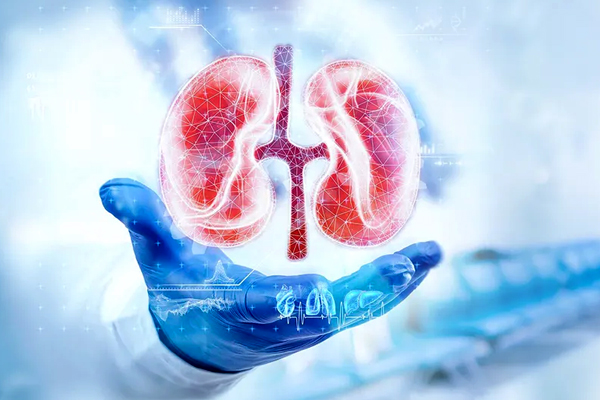 Best Endocrinologist & Diabetes Specialist in Pimpri-Chinchwad, Pune